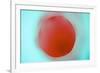 Glass Abstract XVIII-Andy Bell-Framed Photographic Print