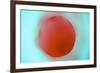 Glass Abstract XVIII-Andy Bell-Framed Photographic Print