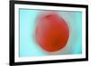 Glass Abstract XVIII-Andy Bell-Framed Photographic Print