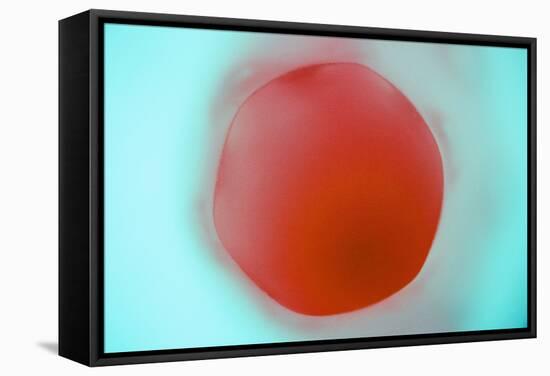 Glass Abstract XVIII-Andy Bell-Framed Stretched Canvas