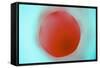 Glass Abstract XVIII-Andy Bell-Framed Stretched Canvas