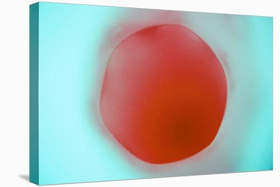 Glass Abstract XVIII-Andy Bell-Stretched Canvas