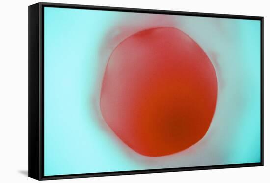 Glass Abstract XVIII-Andy Bell-Framed Stretched Canvas