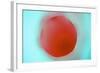 Glass Abstract XVIII-Andy Bell-Framed Photographic Print