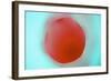 Glass Abstract XVIII-Andy Bell-Framed Photographic Print