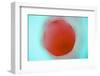 Glass Abstract XVIII-Andy Bell-Framed Photographic Print