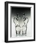 Glass Ampolline-null-Framed Giclee Print