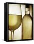 Glass and Bottle of White Wine-Steve Lupton-Framed Stretched Canvas