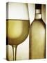 Glass and Bottle of White Wine-Steve Lupton-Stretched Canvas