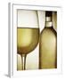 Glass and Bottle of White Wine-Steve Lupton-Framed Photographic Print