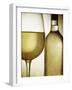 Glass and Bottle of White Wine-Steve Lupton-Framed Photographic Print