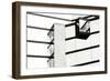 Glass and Steel I-Alan Hausenflock-Framed Photographic Print