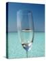 Glass and Tropical Island, Maldives, Indian Ocean, Asia-Sakis Papadopoulos-Stretched Canvas