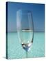 Glass and Tropical Island, Maldives, Indian Ocean, Asia-Sakis Papadopoulos-Stretched Canvas