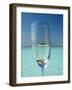 Glass and Tropical Island, Maldives, Indian Ocean, Asia-Sakis Papadopoulos-Framed Photographic Print