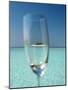 Glass and Tropical Island, Maldives, Indian Ocean, Asia-Sakis Papadopoulos-Mounted Photographic Print
