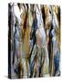 Glass Artist's Shop in Zweisel, Bavaria, Germany, Europe-Michael Snell-Stretched Canvas