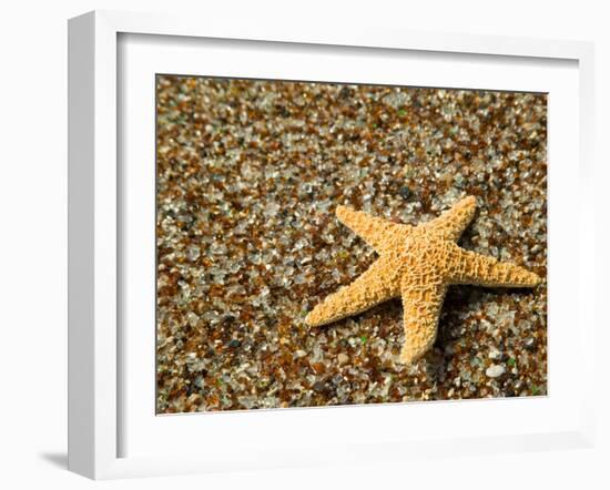 Glass Beach with Star Fish, Kauai, Hawaii, USA-Terry Eggers-Framed Premium Photographic Print