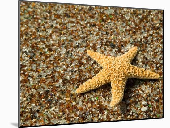 Glass Beach with Star Fish, Kauai, Hawaii, USA-Terry Eggers-Mounted Premium Photographic Print