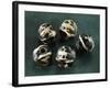 Glass Beads Depicting Birds-null-Framed Giclee Print