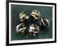 Gramercy Black