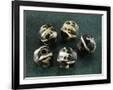 Gramercy Black
