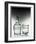 Glass Bottle and Glass Drinking Glass-null-Framed Giclee Print