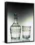 Glass Bottle and Glass Drinking Glass-null-Framed Stretched Canvas