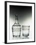 Glass Bottle and Glass Drinking Glass-null-Framed Giclee Print