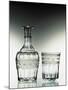 Glass Bottle and Glass Drinking Glass-null-Mounted Giclee Print