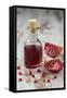 Glass Bottle with Pomegranate Juice and Pomegranate-Jana Ihle-Framed Stretched Canvas