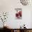 Glass Bottle with Pomegranate Juice and Pomegranate-Jana Ihle-Stretched Canvas displayed on a wall