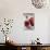 Glass Bottle with Pomegranate Juice and Pomegranate-Jana Ihle-Photographic Print displayed on a wall