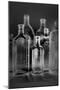 Glass Bottles-Moises Levy-Mounted Photographic Print