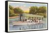 Glass Bottom Boat, Silver Springs, Florida-null-Framed Stretched Canvas