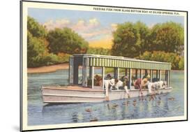 Glass Bottom Boat, Silver Springs, Florida-null-Mounted Art Print