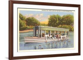 Glass Bottom Boat, Silver Springs, Florida-null-Framed Premium Giclee Print