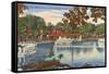 Glass Bottom Boats, Silver Springs, Florida-null-Framed Stretched Canvas