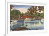 Glass Bottom Boats, Silver Springs, Florida-null-Framed Premium Giclee Print