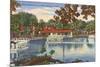 Glass Bottom Boats, Silver Springs, Florida-null-Mounted Premium Giclee Print