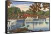 Glass Bottom Boats, Silver Springs, Florida-null-Framed Stretched Canvas