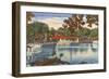 Glass Bottom Boats, Silver Springs, Florida-null-Framed Art Print