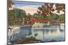 Glass Bottom Boats, Silver Springs, Florida-null-Mounted Art Print