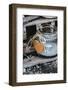 Glass, Candle, Heart-Jule Leibnitz-Framed Photographic Print