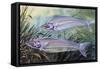 Glass Catfish (Kryptopterus Bicirrhis), Siluridae, Drawing-null-Framed Stretched Canvas