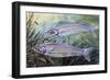 Glass Catfish (Kryptopterus Bicirrhis), Siluridae, Drawing-null-Framed Giclee Print