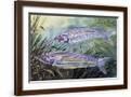 Brown Frame