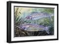 Black Frame