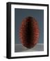 Glass Egg-null-Framed Giclee Print