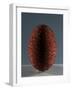 Glass Egg-null-Framed Giclee Print